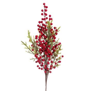 Picture88 ΚΛΑΔΙ ΜΕ ΚΟΚΚΙΝΑ BERRIES 85EK - Image 1